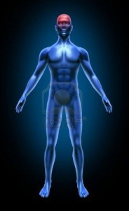 Crosystem - Funzioni Neurologiche